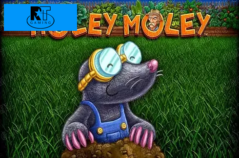Holey Moley